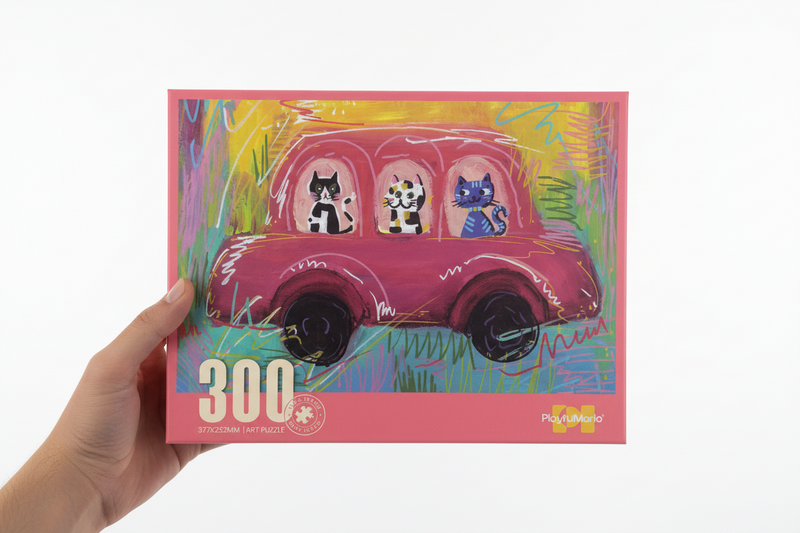 300 نسخة السيارة