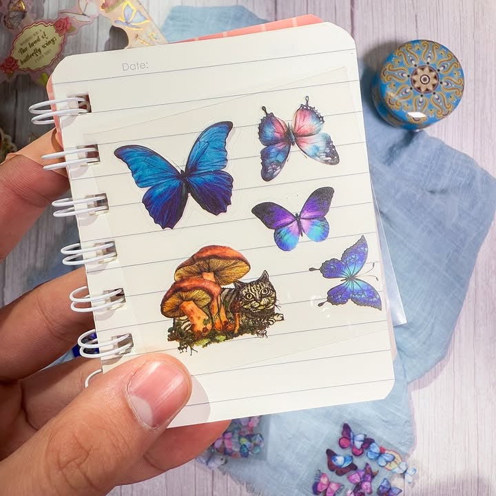 صندوق مئة ملصق The land of butterfly wings