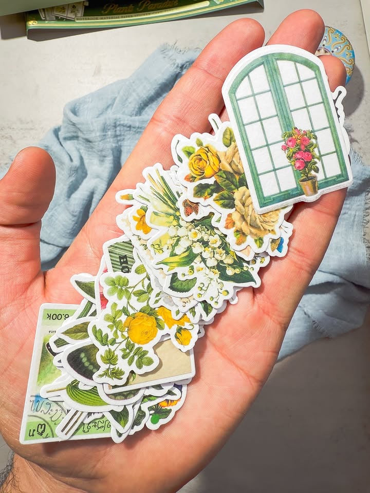 صندوق الجورنال الشامل plants paradise
