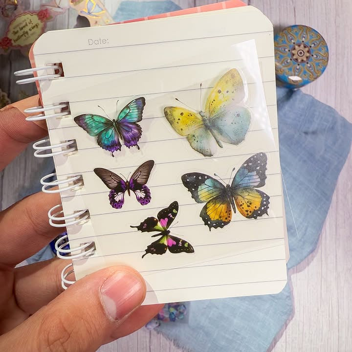 صندوق مئة ملصق The land of butterfly wings