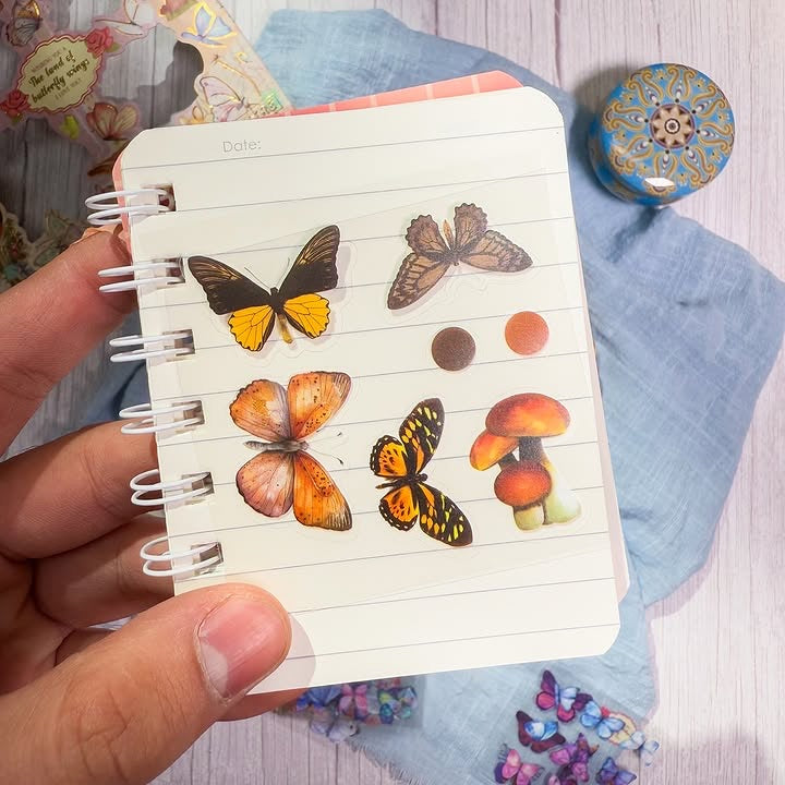 صندوق مئة ملصق The land of butterfly wings