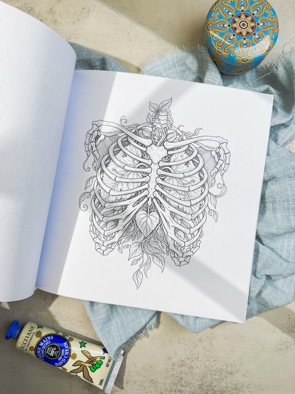 دفتر تلوين تشريح جسم الانسان human anatomy